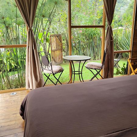 הוילה Exclusivo Cocora Con Jacuzzi Salento Quindio מראה חיצוני תמונה