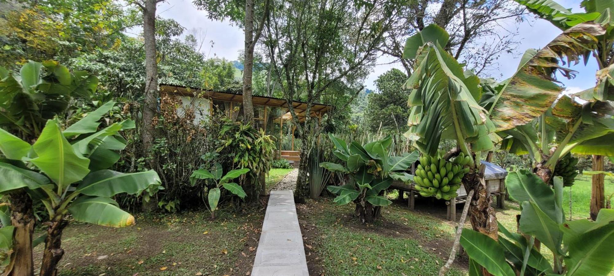 הוילה Exclusivo Cocora Con Jacuzzi Salento Quindio מראה חיצוני תמונה