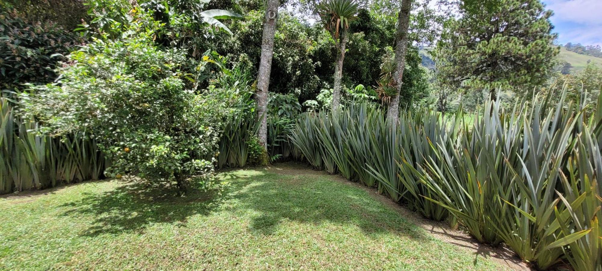 הוילה Exclusivo Cocora Con Jacuzzi Salento Quindio מראה חיצוני תמונה
