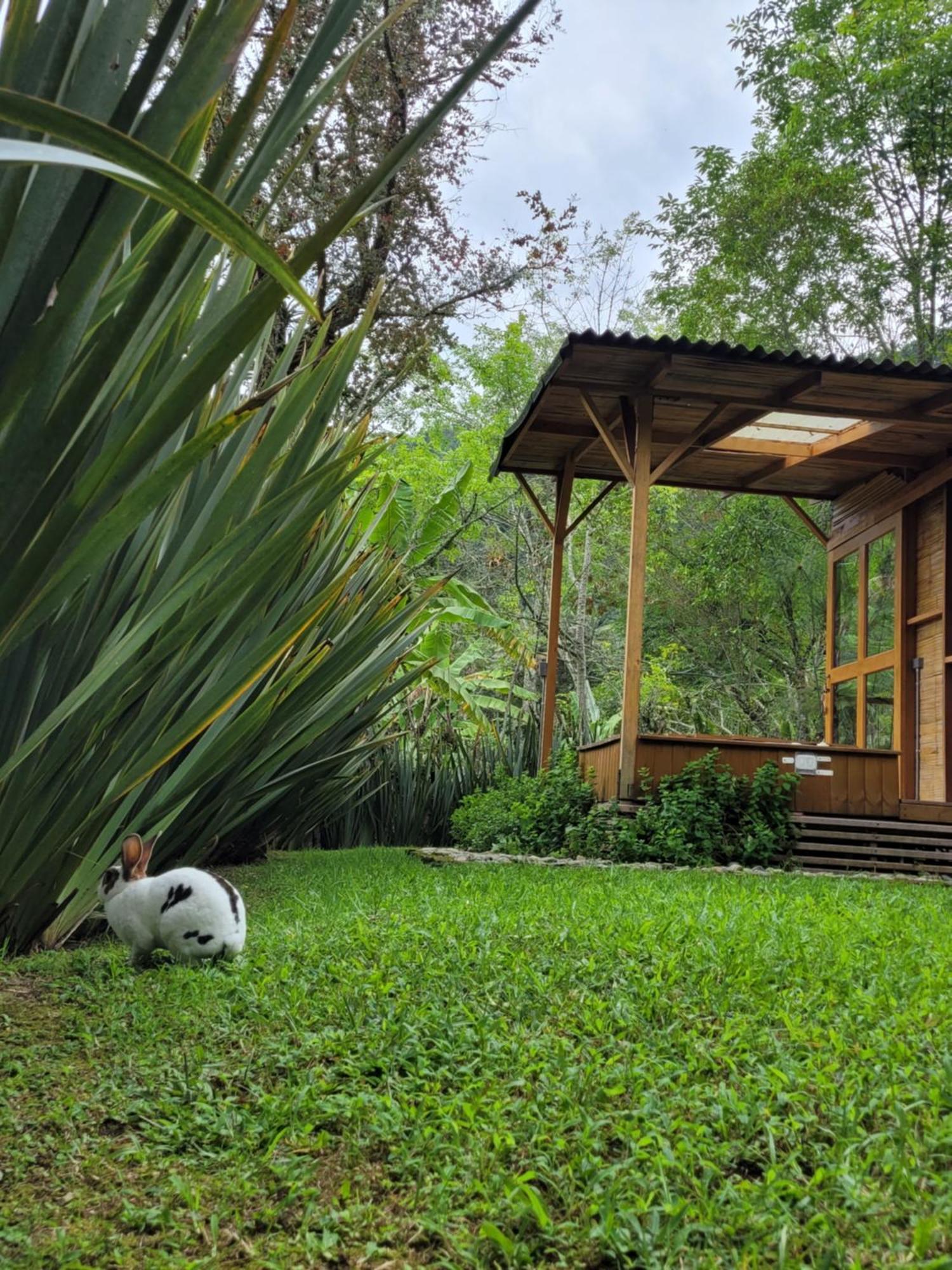 הוילה Exclusivo Cocora Con Jacuzzi Salento Quindio מראה חיצוני תמונה